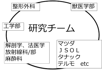 バイオメカニクス | 山口大学大学院医学系研究科整形外科学